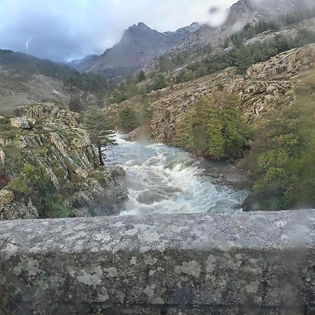 Niolu Διαμέρισμα Albertacce Εξωτερικό φωτογραφία