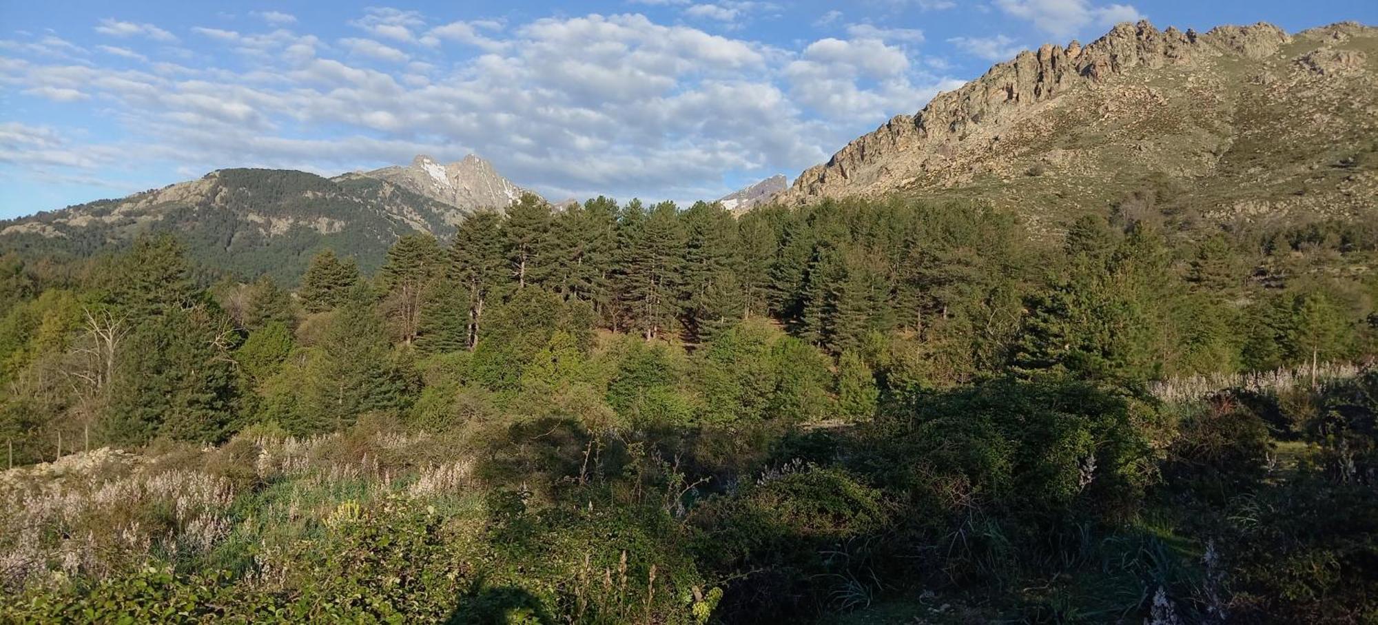 Niolu Διαμέρισμα Albertacce Εξωτερικό φωτογραφία